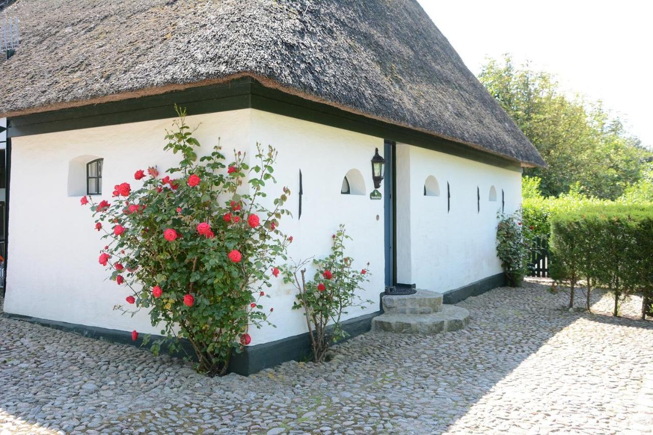 Foehrienhaus Villa Midlum  Kültér fotó